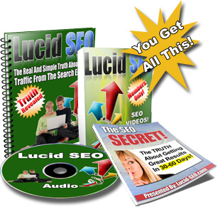Search engine submission optimization